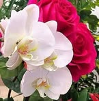 James Ronald - Facebook