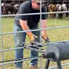 James Rook - @james.rook - TikTok