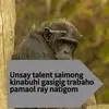 James roque - @jamesroque618 - TikTok