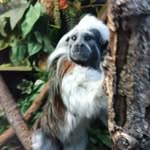 Devin James Roundy - @tripple_droundy_2.0 - Instagram