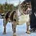 James Rowden - Facebook