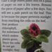 James Roye - Facebook