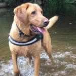 James Jimbob Ruddick - @jamesjimbobruddick - Instagram