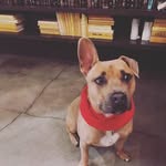 James ruder - @james_ruder - Instagram