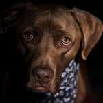 James Ruffner - @jamesruffner - Instagram