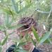 James Rumsey - Facebook