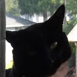 Jackson James Runion - @jackobooper - Instagram
