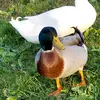 James Runion155 - @some1somewhere13 - TikTok
