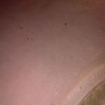 James Runnels - @james.runnels.1671 - Instagram