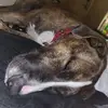 James Rupp - @james.rupp8 - TikTok