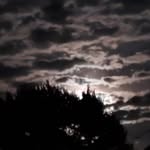 James Rush - @jmrush1975 - Instagram