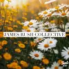 James Rush Collective - @james.rush.co - TikTok