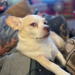 James Rushford Watson - @sjwatson70 - Instagram