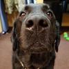 James Ryle - @james.ryle_71 - TikTok