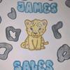 James sales ship or dip - @james.sales.ship - TikTok