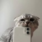 @_james_salvator - Instagram