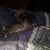 jamessalvatore275 - @jamessalvatore275 - TikTok