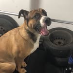 James Samarco - @jamessamarco - Instagram