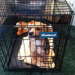 James Samples - @samples_james - Instagram