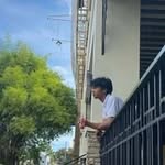 James Sano - @jamessano5 - Instagram