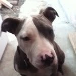 James Santee - @james23lint - Instagram