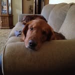 James Santin - @jimmy_bag_a_donuts - Instagram