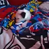 James Rock - @james.rock629 - TikTok