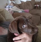 James Sapienza - Facebook