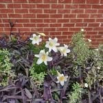 James Sartor - @james.sartor - Instagram