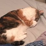 James Sasala - @rickshaws230 - Instagram