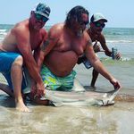 James Sasser - @james.sasser.77 - Instagram