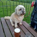 James Satchell - @jamessatchell62 - Instagram