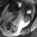 James Salley - Facebook
