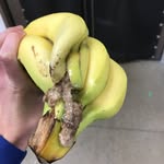 James Savinell - @kroger_breakroom - Instagram