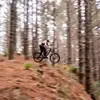 james_savory - @james_savory - TikTok