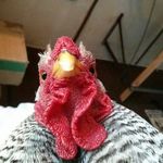Andrew Sawchuk - @andrewjamessawchuk - Instagram
