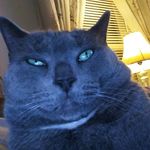 James Saxe - @saxejames - Instagram