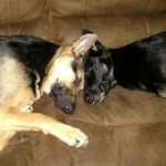 James Sayler - @james_sayler5270 - Instagram