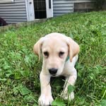 James scala - @jamesscala277 - Instagram