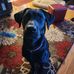 James Scalzo - Facebook