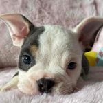 James Scalzo - @scalzo1979 - Instagram