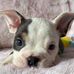 James Scalzo - Facebook