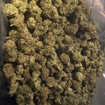James Scalzo - @scalzo_james - Instagram