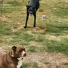 James Schaefer - @jamess.1983 - TikTok