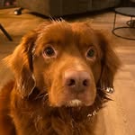 James - @james_schippers369 - Instagram