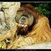 James Schipper - Facebook