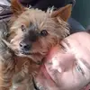James Schipper - @sirtruke - TikTok