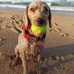 James Schoepflin - @schoepflinjames - Instagram