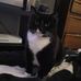 James Schopf - Facebook
