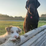 James Schuetz - @james_schuetz - Instagram